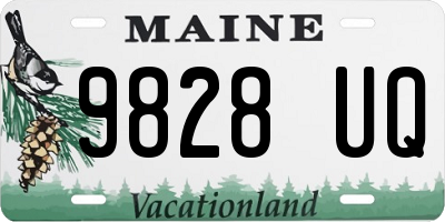 ME license plate 9828UQ