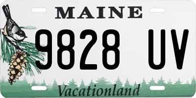 ME license plate 9828UV