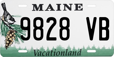 ME license plate 9828VB