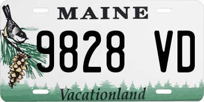 ME license plate 9828VD