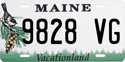 ME license plate 9828VG