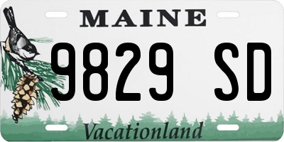 ME license plate 9829SD