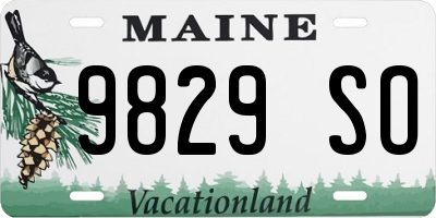 ME license plate 9829SO