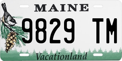 ME license plate 9829TM
