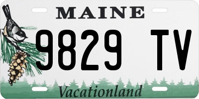 ME license plate 9829TV