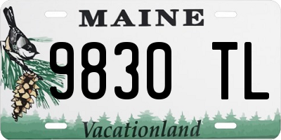 ME license plate 9830TL