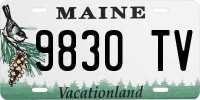 ME license plate 9830TV