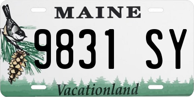 ME license plate 9831SY