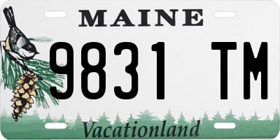 ME license plate 9831TM