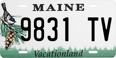 ME license plate 9831TV