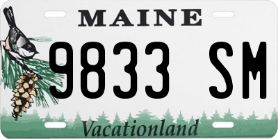 ME license plate 9833SM