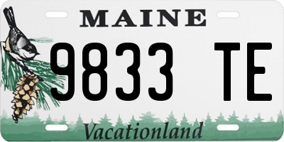 ME license plate 9833TE