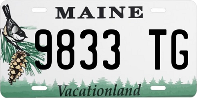 ME license plate 9833TG