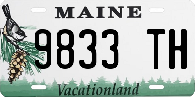 ME license plate 9833TH