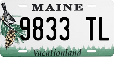 ME license plate 9833TL