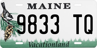 ME license plate 9833TQ