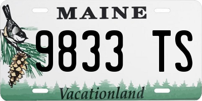 ME license plate 9833TS