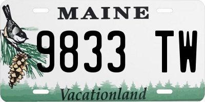 ME license plate 9833TW