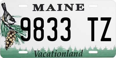 ME license plate 9833TZ