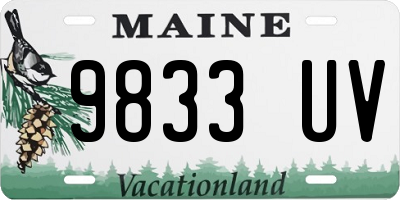 ME license plate 9833UV