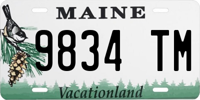 ME license plate 9834TM