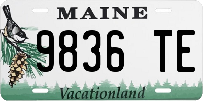 ME license plate 9836TE
