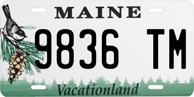 ME license plate 9836TM