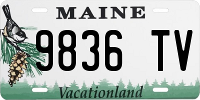 ME license plate 9836TV