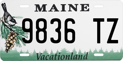 ME license plate 9836TZ