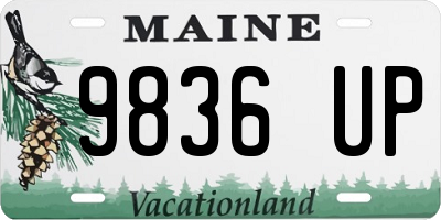 ME license plate 9836UP