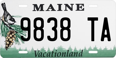 ME license plate 9838TA
