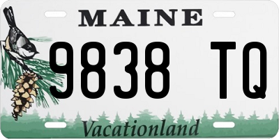 ME license plate 9838TQ
