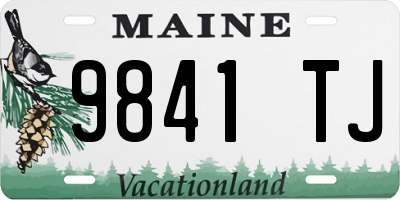 ME license plate 9841TJ