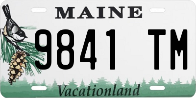 ME license plate 9841TM
