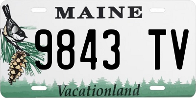 ME license plate 9843TV