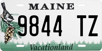 ME license plate 9844TZ