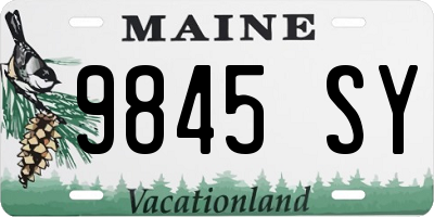 ME license plate 9845SY