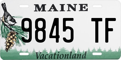 ME license plate 9845TF
