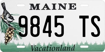 ME license plate 9845TS