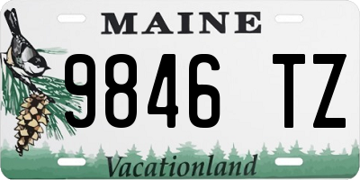 ME license plate 9846TZ