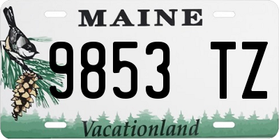 ME license plate 9853TZ