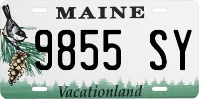 ME license plate 9855SY