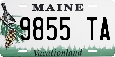 ME license plate 9855TA