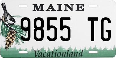 ME license plate 9855TG