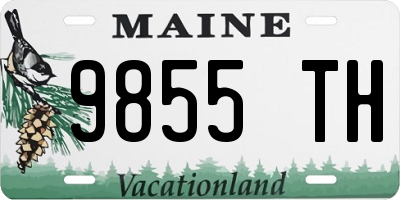 ME license plate 9855TH