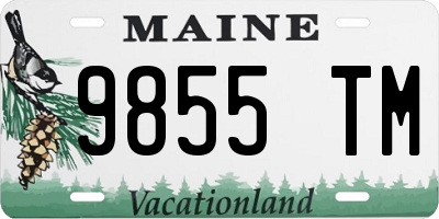 ME license plate 9855TM