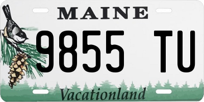 ME license plate 9855TU