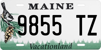 ME license plate 9855TZ