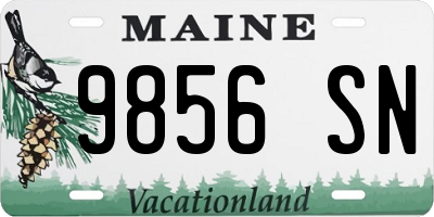 ME license plate 9856SN