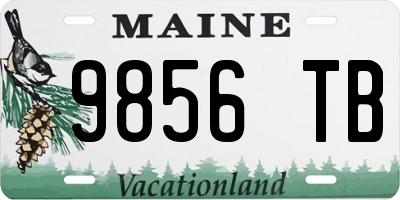 ME license plate 9856TB